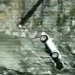 Fiscal Cliff Air Wars