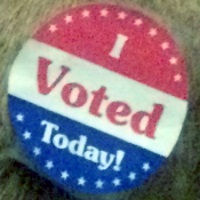 4 Million Democratic Votes Weren’t Discounted